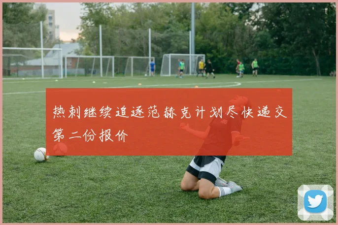 热刺继续追逐范赫克计划尽快递交第二份报价
